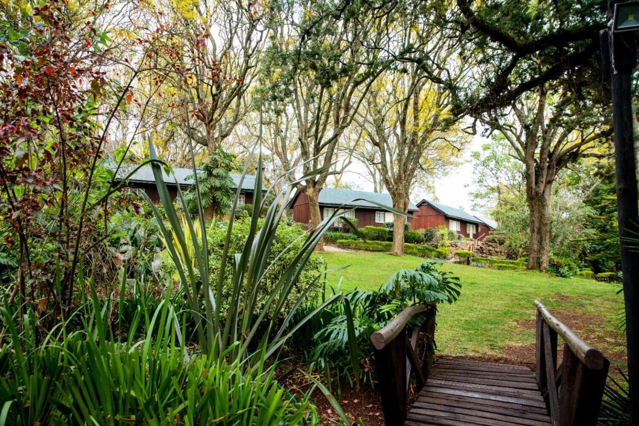 Naro Moru River Lodge Buitenkant foto