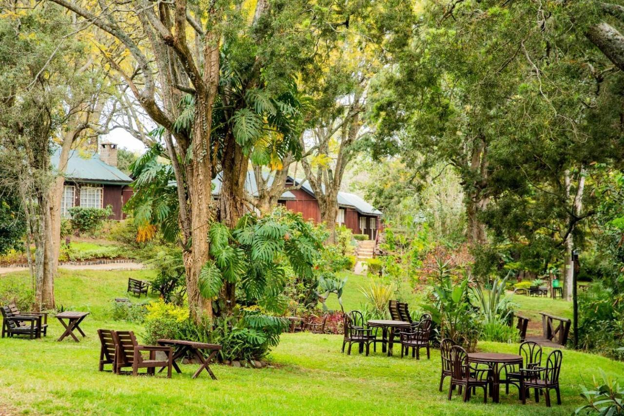 Naro Moru River Lodge Buitenkant foto