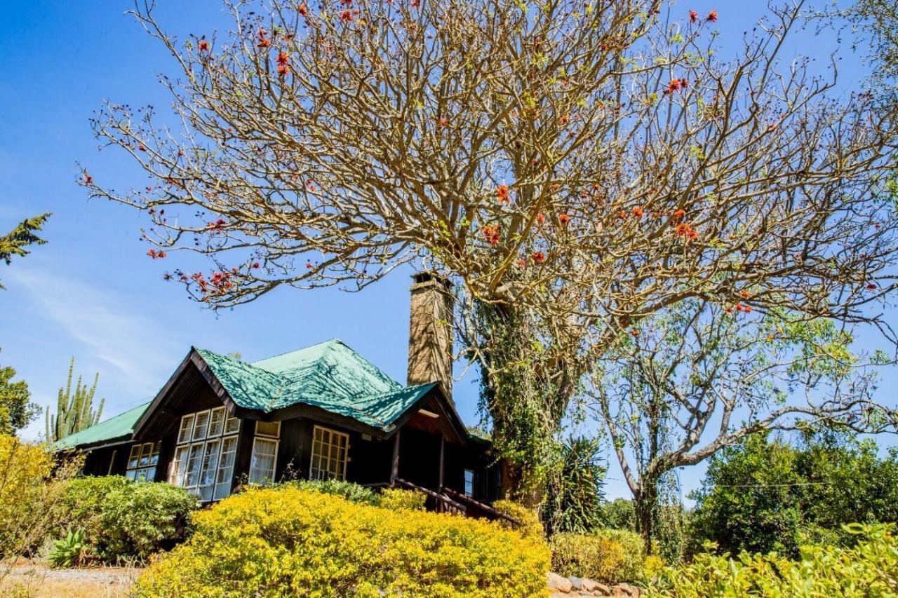 Naro Moru River Lodge Buitenkant foto