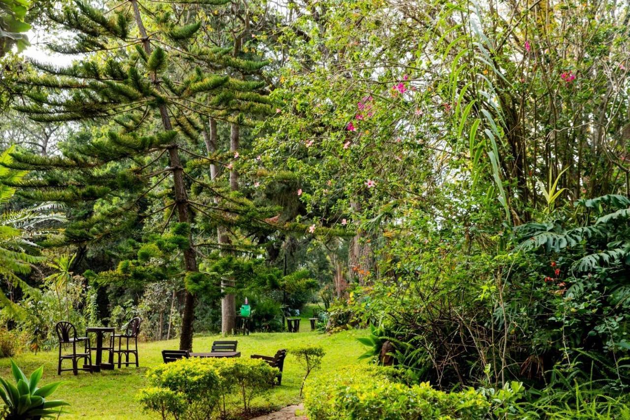 Naro Moru River Lodge Buitenkant foto